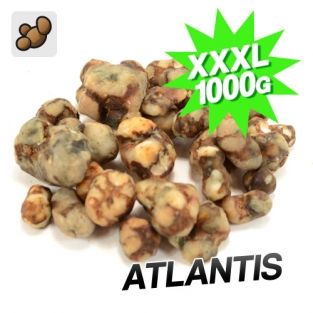 Grootverpakking  truffels
